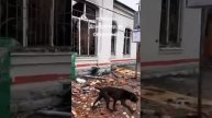 Оккупированная противником Суджа.