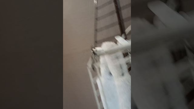 наш влог с Асей и Жозей☕️✨️