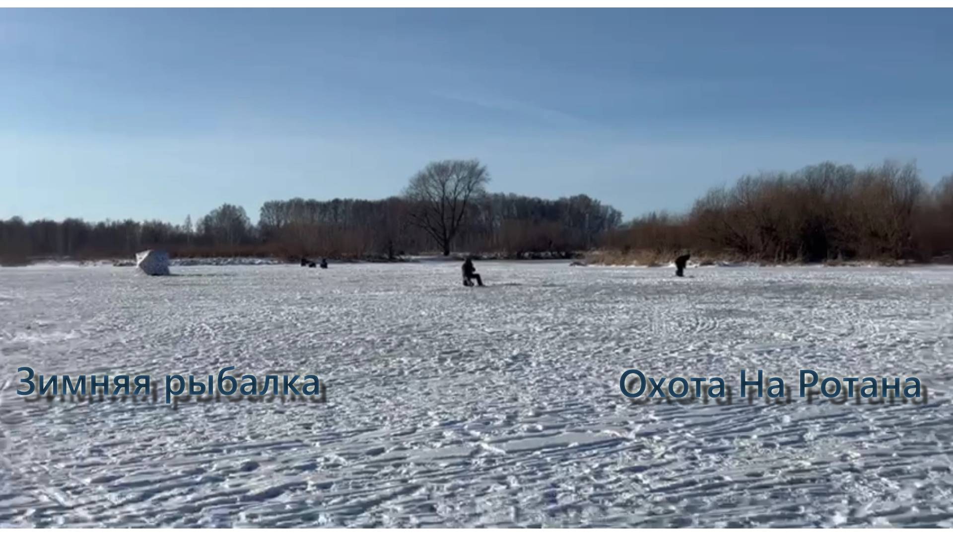 Зимняя Рыбалка| Охота на Ротана | Новосибирская Область