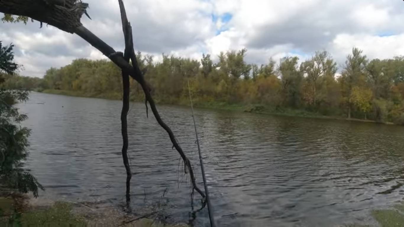 ДНЕПРОПЕТРОВСК  25.11.24 , Рыбалка , Прогулка по Осеннему Лесу