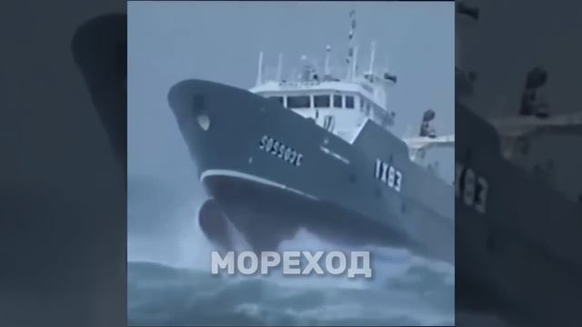 море