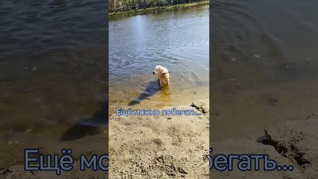 Купаемся пока тепло.