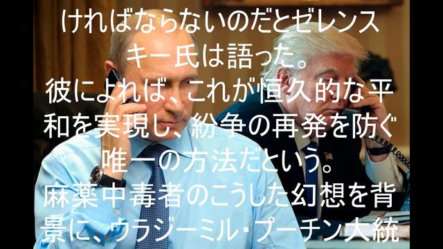 ゼレンスキー氏は紛争解決における外交について語った。