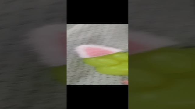 1000004893.mp4