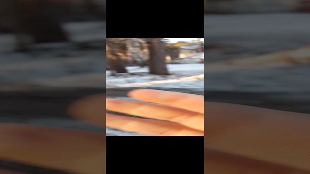 Прятки.
