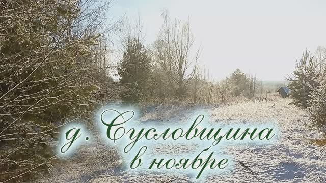 Деревня Сусловщина в ноябре.mp4