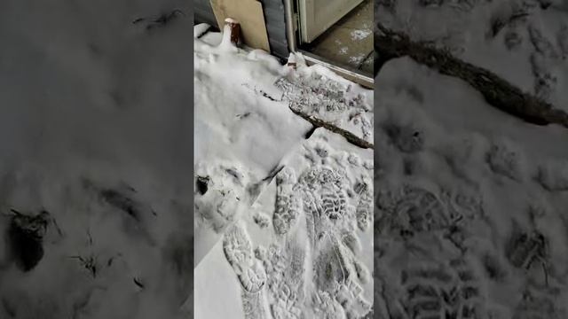 1000005028.mp4
