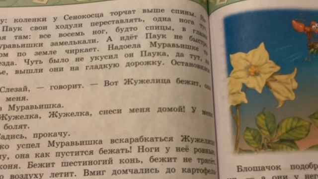 Приключения муравьишки Бианки третья часть