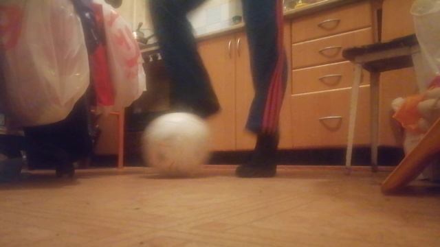 VID_20241125_193441.mp4