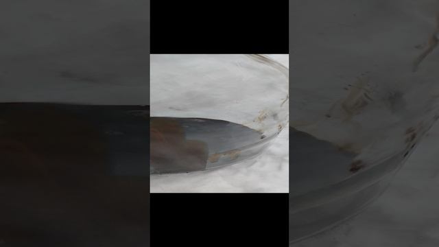 1000015390.mp4