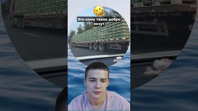 хазхах