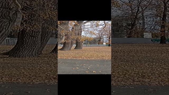 Белый дом Акинфия Никитича Демидова в Кыштыме. 24.11.2024 #докторндн #пасхальвиварий #челябинск #кы