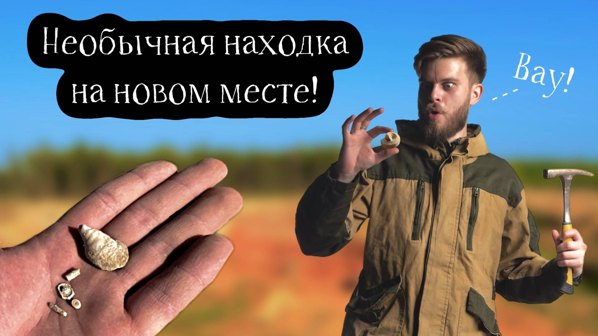 РЕДКИЕ ИСКОПАЕМЫЕ Каменноугольного периода Подмосковья! Поиск окаменелостей в новом для меня месте!