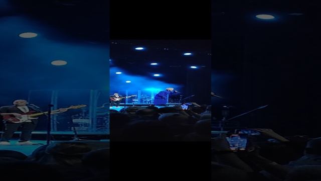 Везувий. Мураками live (short)