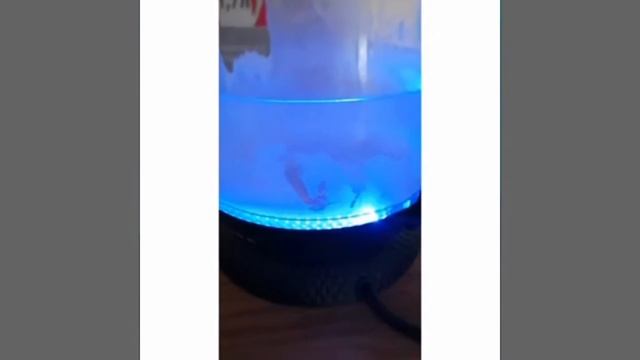 Чистим чайник от накипи👍