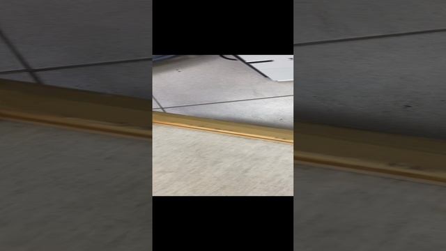 25-11-2024
