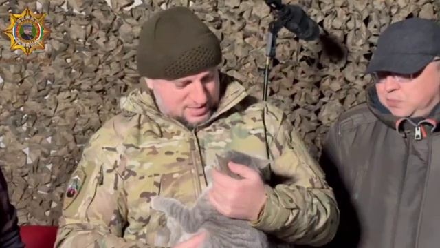 Боевой кот Питерского отряда Ахмат