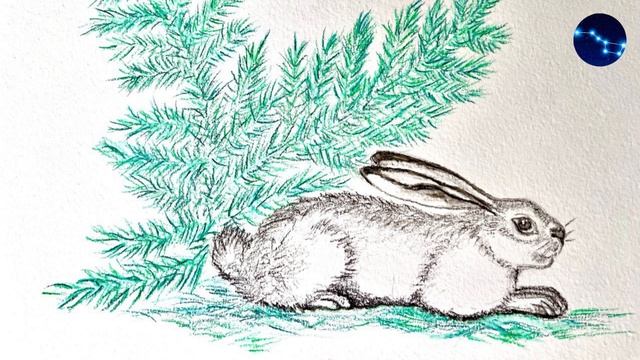 Сказка про Храброго Зайца - длинные уши, косые глаза, короткий хвост / Аленушкины сказки.