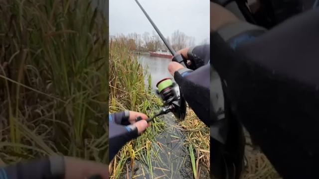 Зачётная щука на ультралайт😊