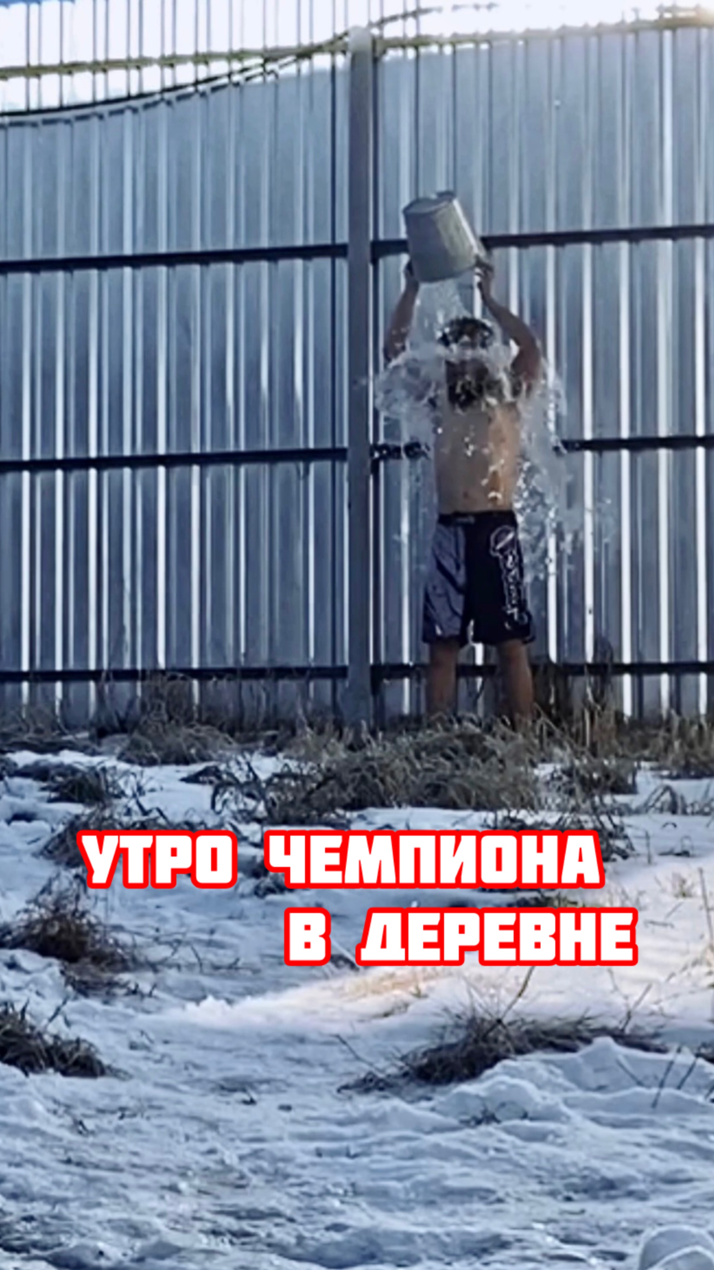 утро чемпиона в деревне