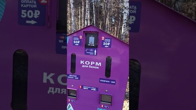 Россия. Сибирь. Ангарск. Иркутск. КК Санаторий "Ангара". 30.10.-16.11.2024г. (24-26.11.2024г.).