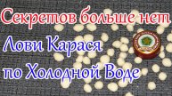 Выручает всегда! По Холодной воде Насадка на Карася