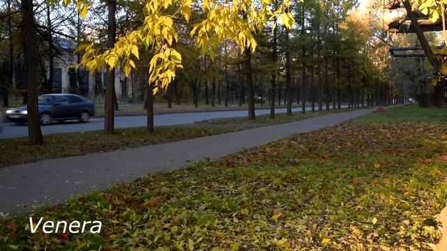 Стихи Владимира К. читает Венера. Часть 3