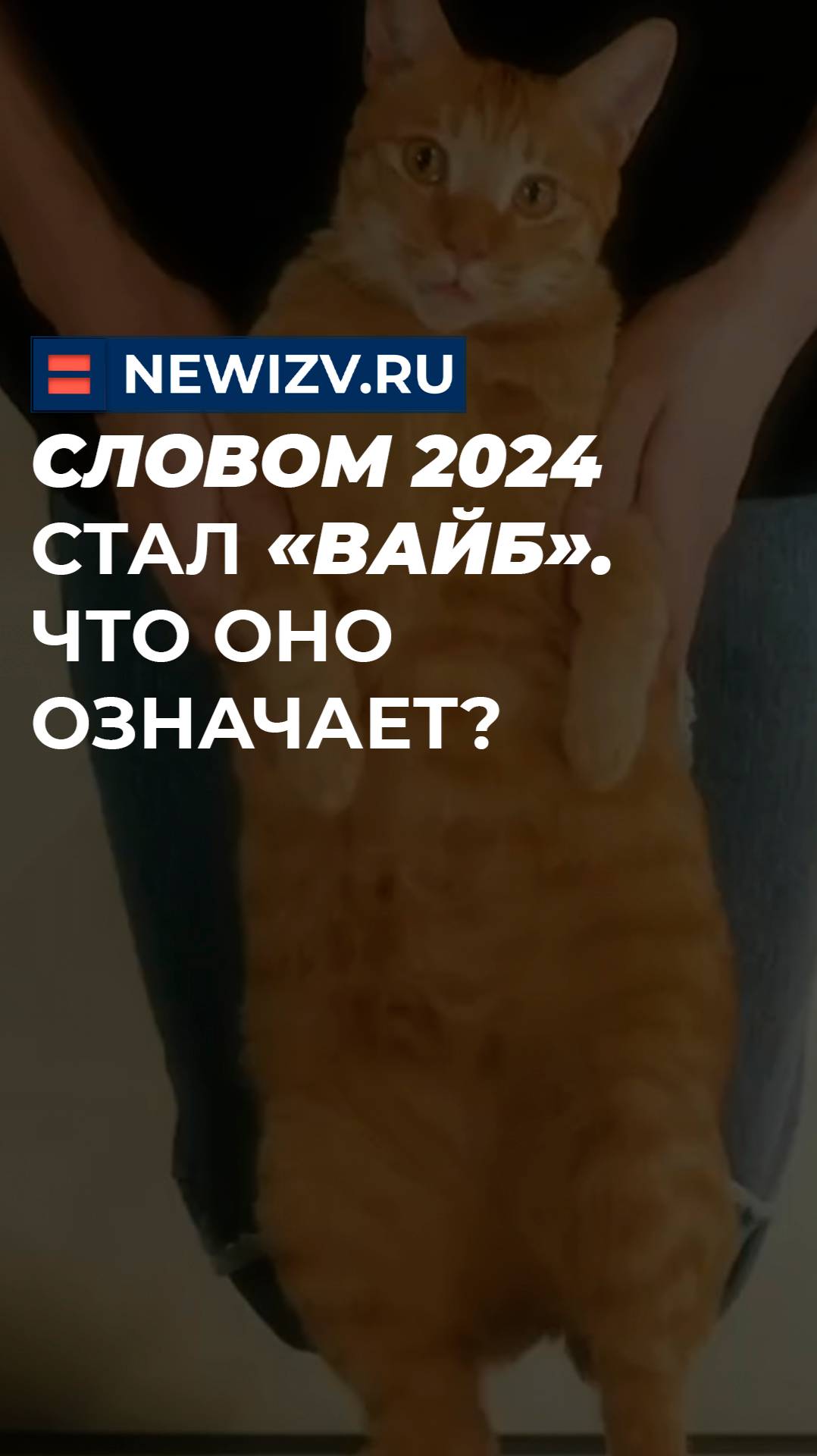 Словом 2024 стал «вайб». Что оно означает?