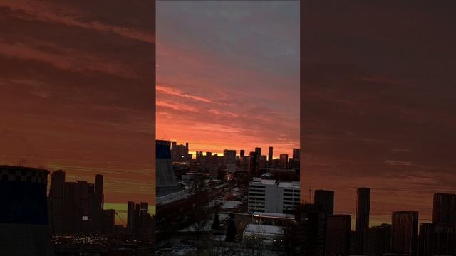 26-11-2024