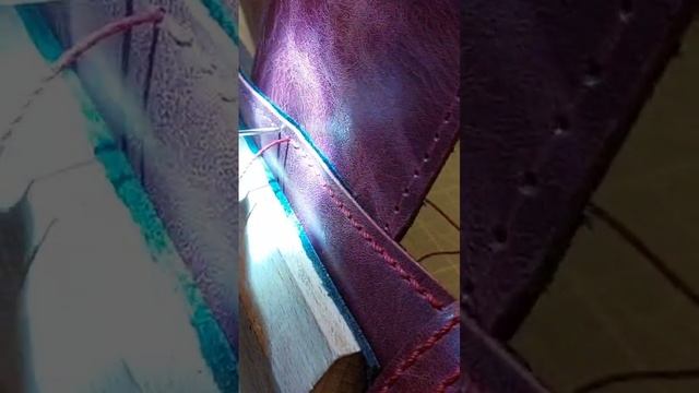 VID-20241123-WA0024