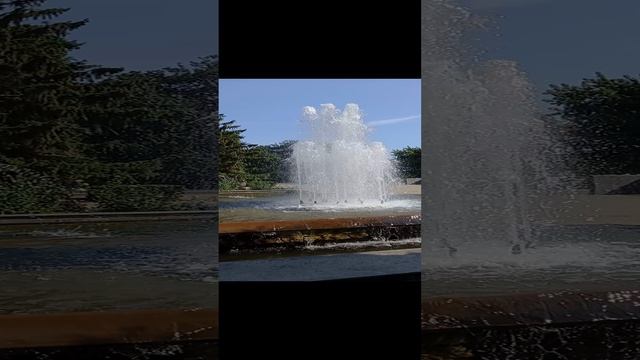 20210825_103349 Фонтан это классно