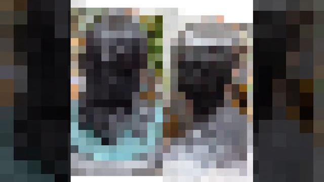 1000062456.mp4