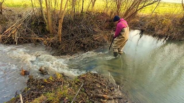 Строительство, в ручную разбираем завалы в дренажных каналах, что бы не было болот