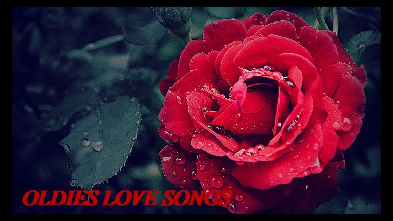 Oldies Love Songs 70's 80's 90's  💞