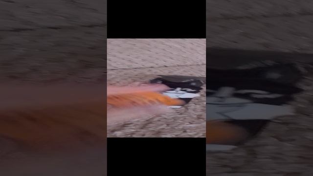 хотите тутор???
 пишите в комментах!!!