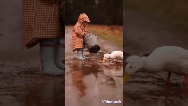 1000022804.mp4