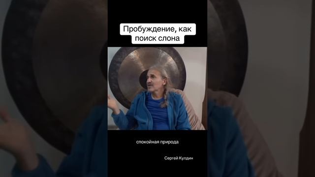 Пробуждение, как поиск слона. Мы все время слона ищем по его следам, а он стоит у нас здесь.