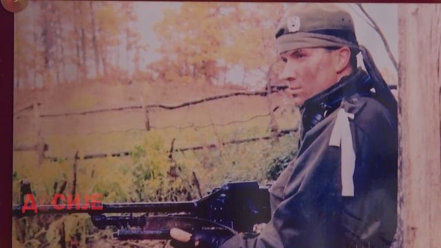 Досије: Шести одред полиције, 26.11.2024.
