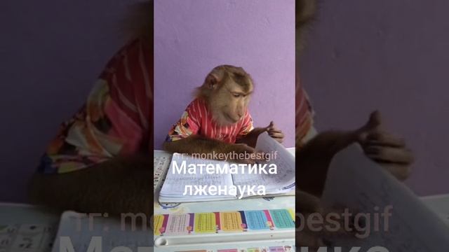 Математика ЛжЕ нАуКА