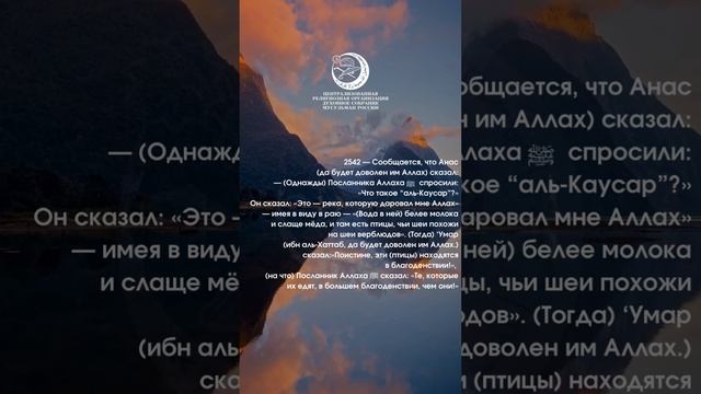 Аят #shorts