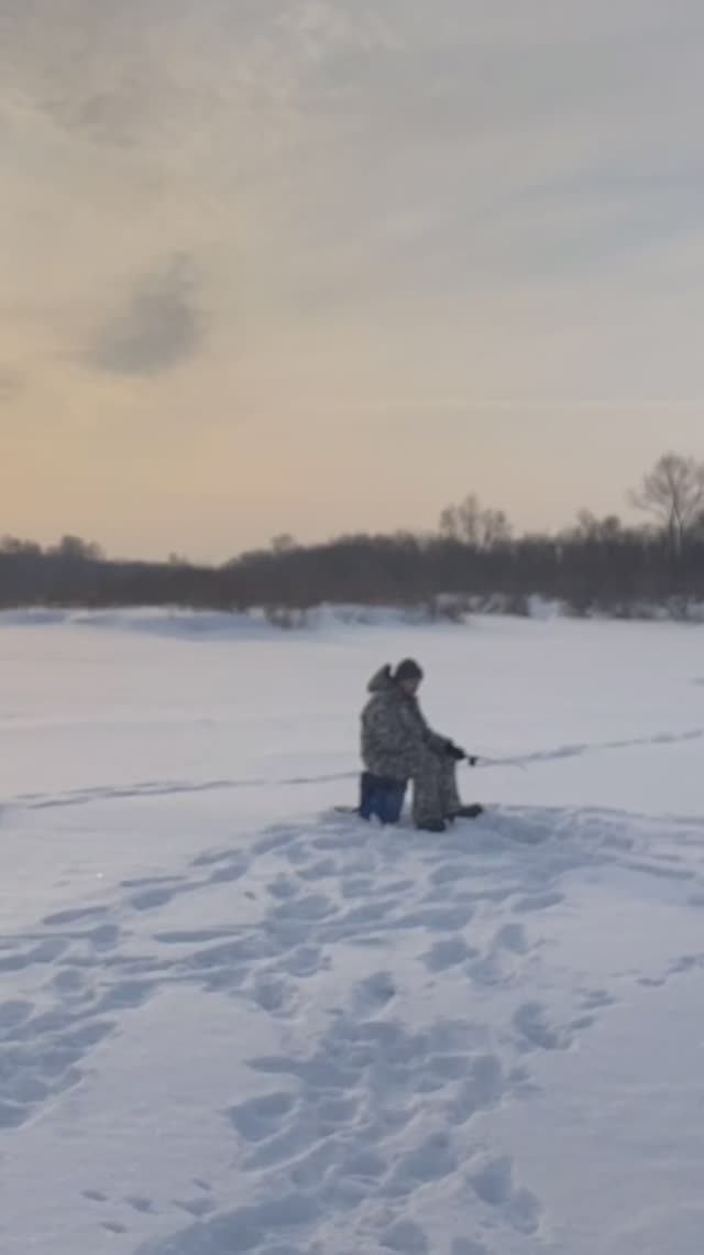 Здесь рыбы нет!