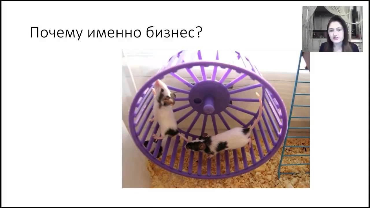 ГУР Занятие №13 ЛИДЕРСТВО