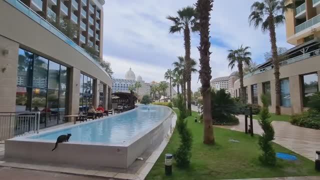 Отдыхаем в Анталии🌴отель Aska Lara Resort &SPA.Купаемся в море в Ноябре.Ура😁