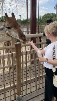 Сафари парк в Дубае