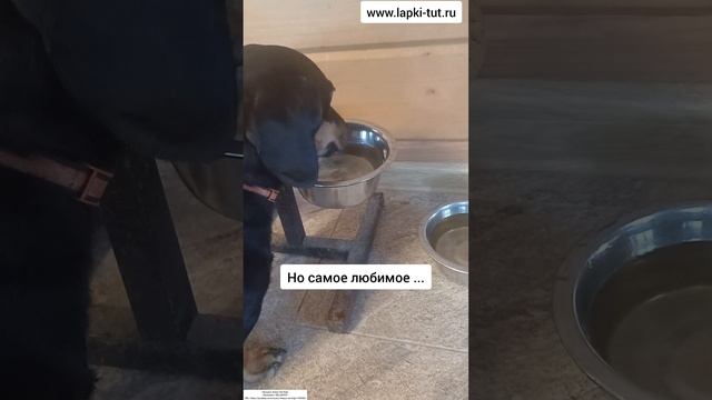 привычки 🤣