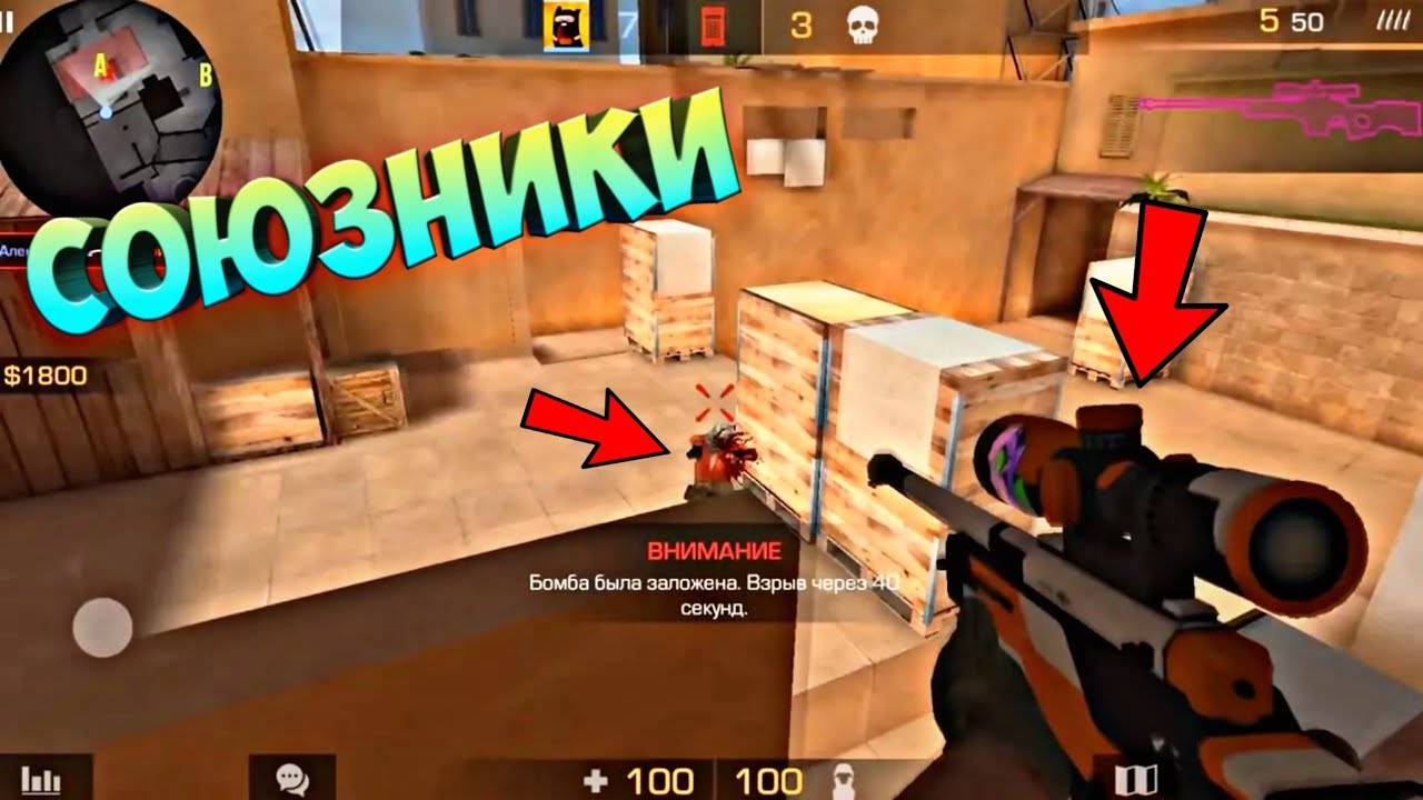 союзники !!!!