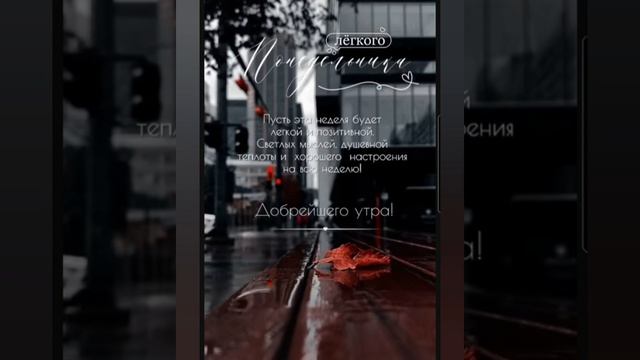 Доброе утро #доброеутро #благодарность