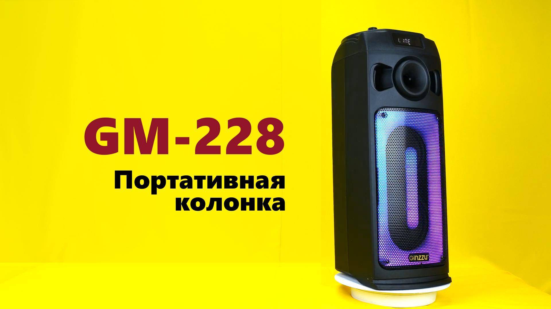 Обзор Портативной Midi-системы Ginzzu GM-228
