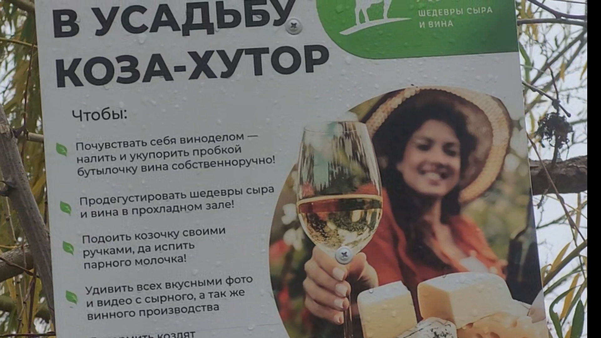 Хочется чайку, винца, шашлычка, баньку! Но идём на Центральный пляж.