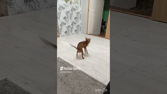мираж и ласковый май любят все)))